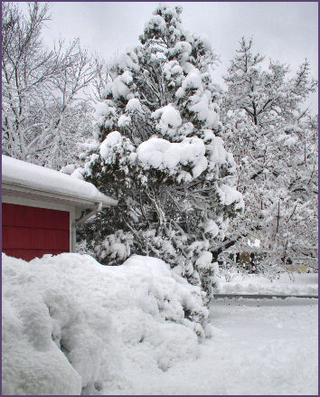 view of my snowy front yard