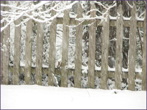 backyard with snow falling