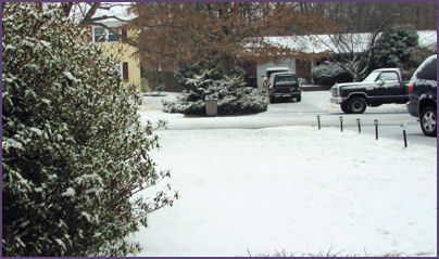 light snow on the lawn