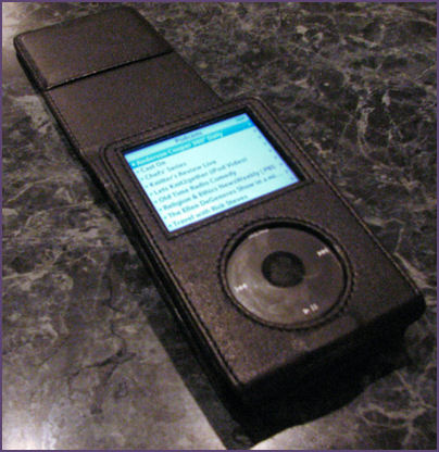 ipod in leather case