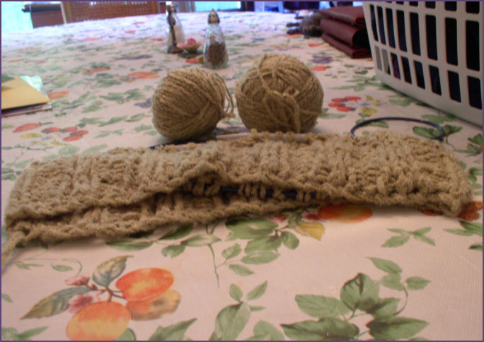 Alison's green poncho restarted