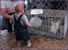 Baby wanted to see the bunnies!
