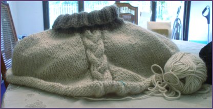 Lopi Poncho in progress