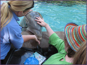 Trish petting female dolphin at Sea World