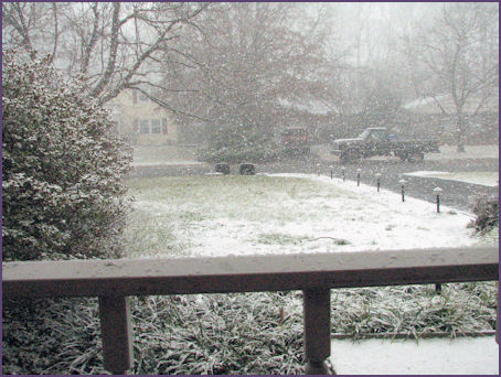 a quick little snow shower outside my doorâ€¦