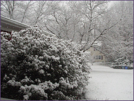 Snow coming down, view from my porch