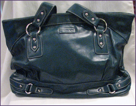 Namaste Newport bag in the peacock colorway Namaste Newport bag in the peacock colorway