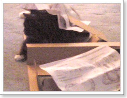 ,,,and Zoe thinks she's hiding ,,,and Zoe thinks she's hiding