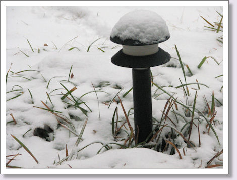 snow in the yard