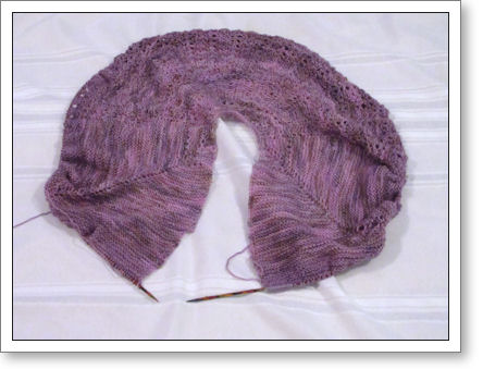 Shawl Progress Shawl Progress