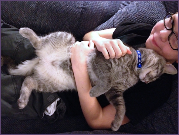 Cat sleeping on back on top of young by