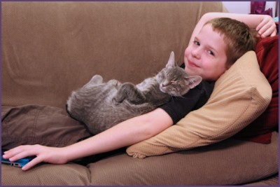 Boy lounging on sofa with sleeping cat on top of him.