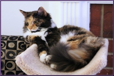 bonny on climbing toy