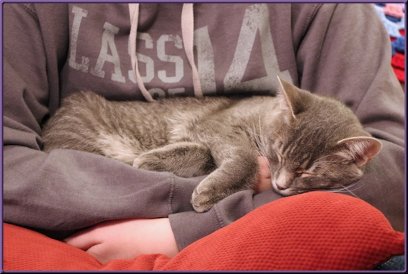 Clyde sleeping in human's arms